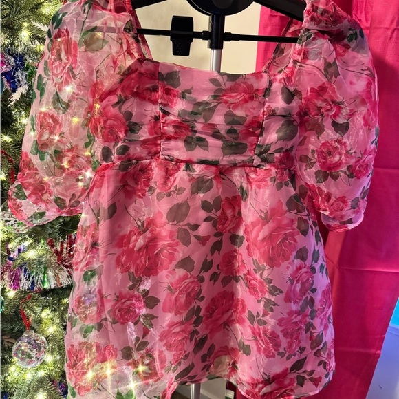 Pink and Floral Print 3/4 Sleeve Organza Mini Dress - Picture 6 of 6